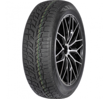 Autogreen Snow Chaser 2 AW08 205/60 R16 96H