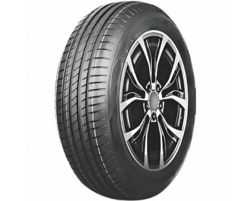 Delmax UltimaPro UP1 205/55 R16 91V