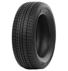 Double Coin DW-300 195/65 R15 95H XL