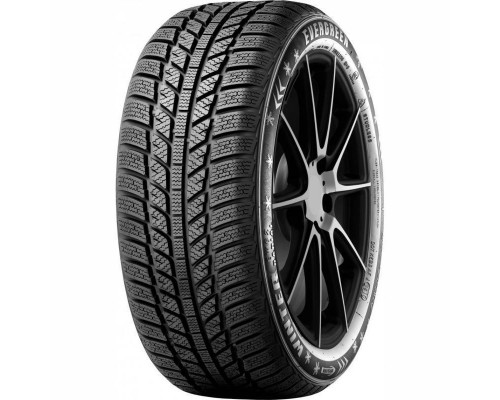 Evergreen EW62 205/65 R16 95H