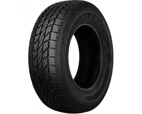 Rapid Ecolander 215/75 R15 106/103S