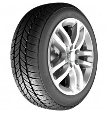 RoadX RXFrost WH01 185/65 R14 86T