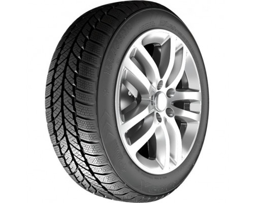 RoadX RXFrost WH01 185/65 R14 86T