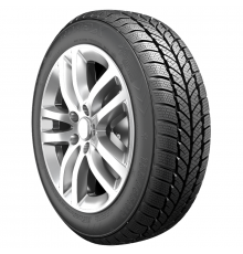 RoadX RXFrost WH01 195/55 R15 85H